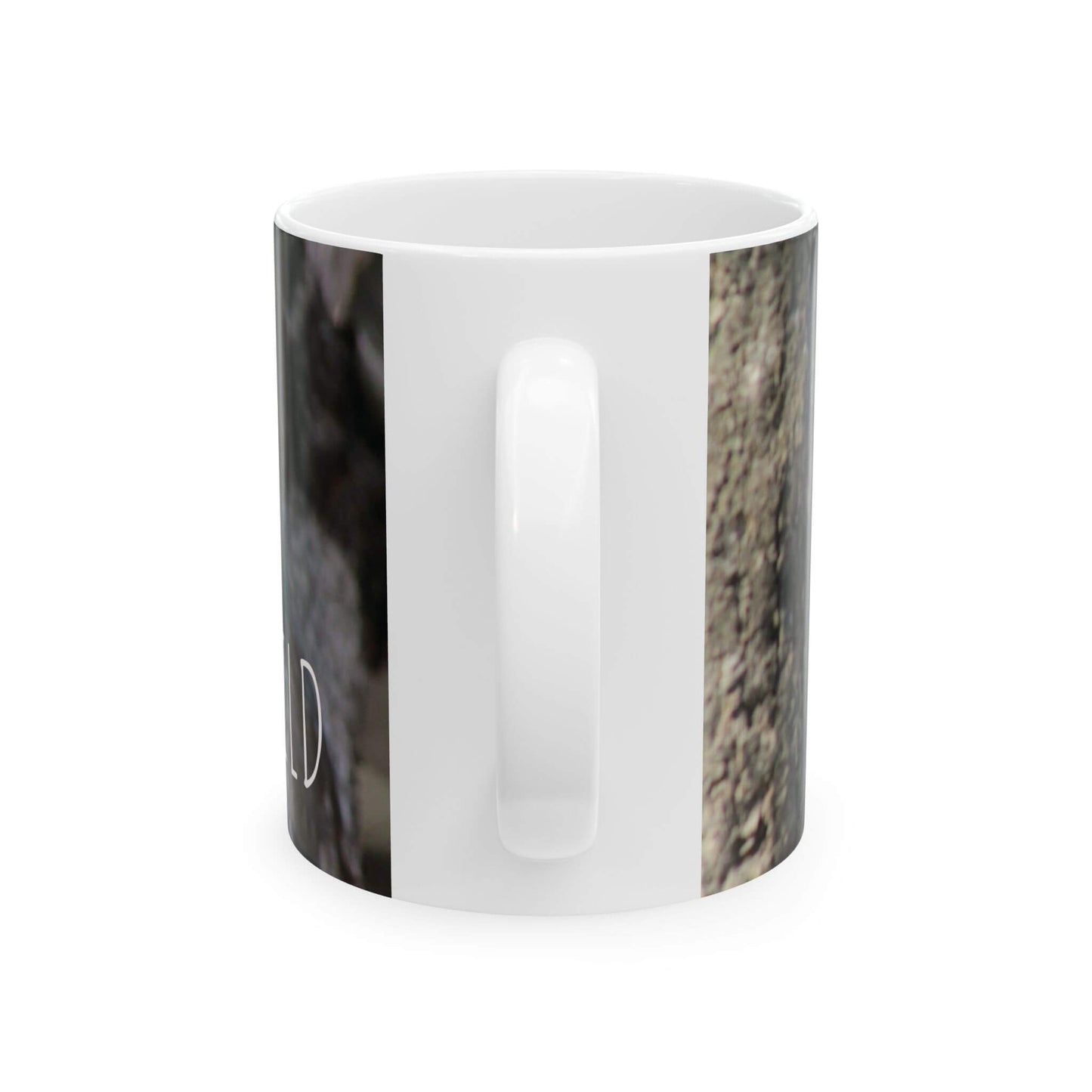 stay wild ceramic mug iguana design back