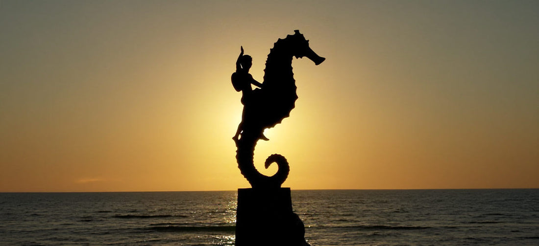 Boy on the seahorse