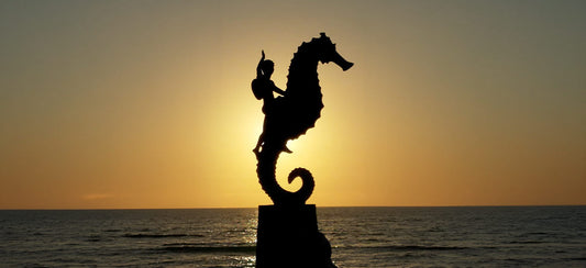 Boy on the seahorse