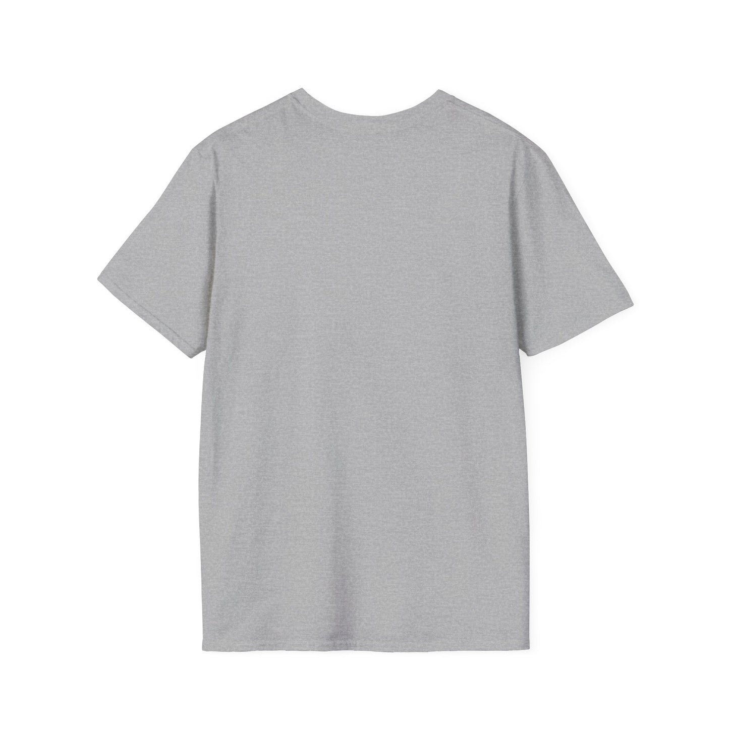 Naples Florida Softstyle T-Shirt Glamorous Flamingo Back