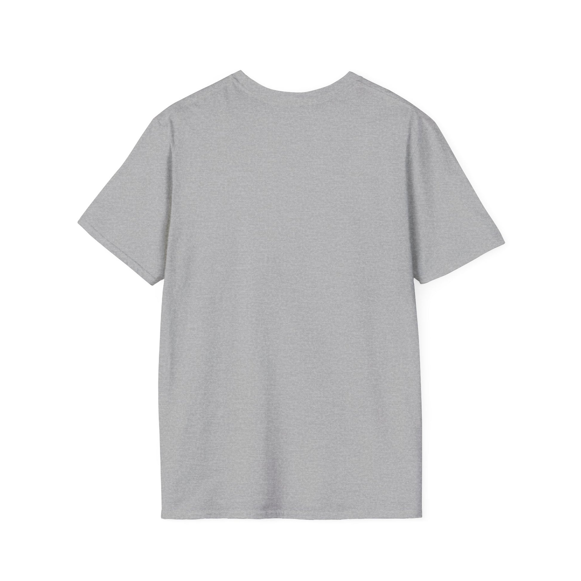 Naples Florida Softstyle T-Shirt Glamorous Flamingo Back