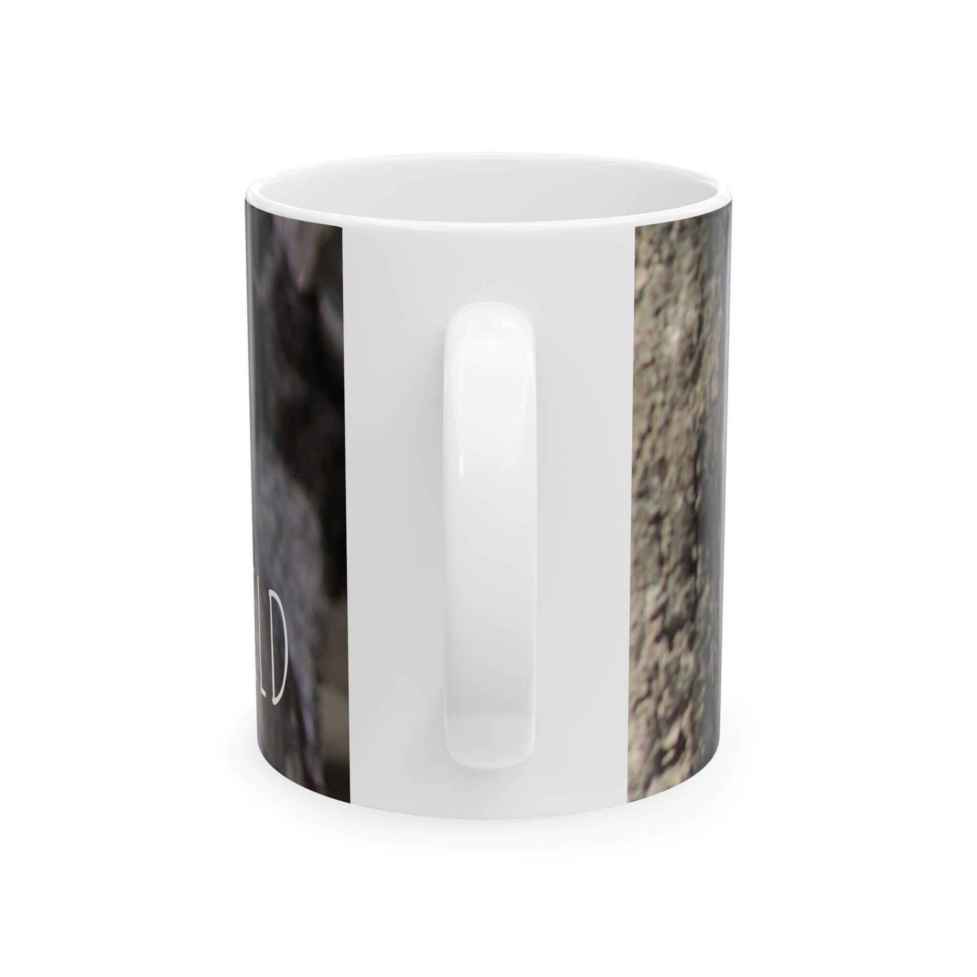 stay wild ceramic mug iguana design back