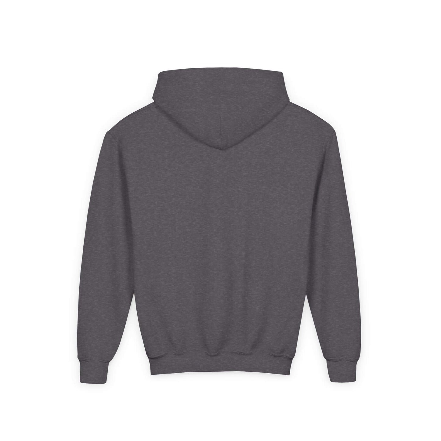 youth hoodie iguana atv share the road share the planet dark heather back