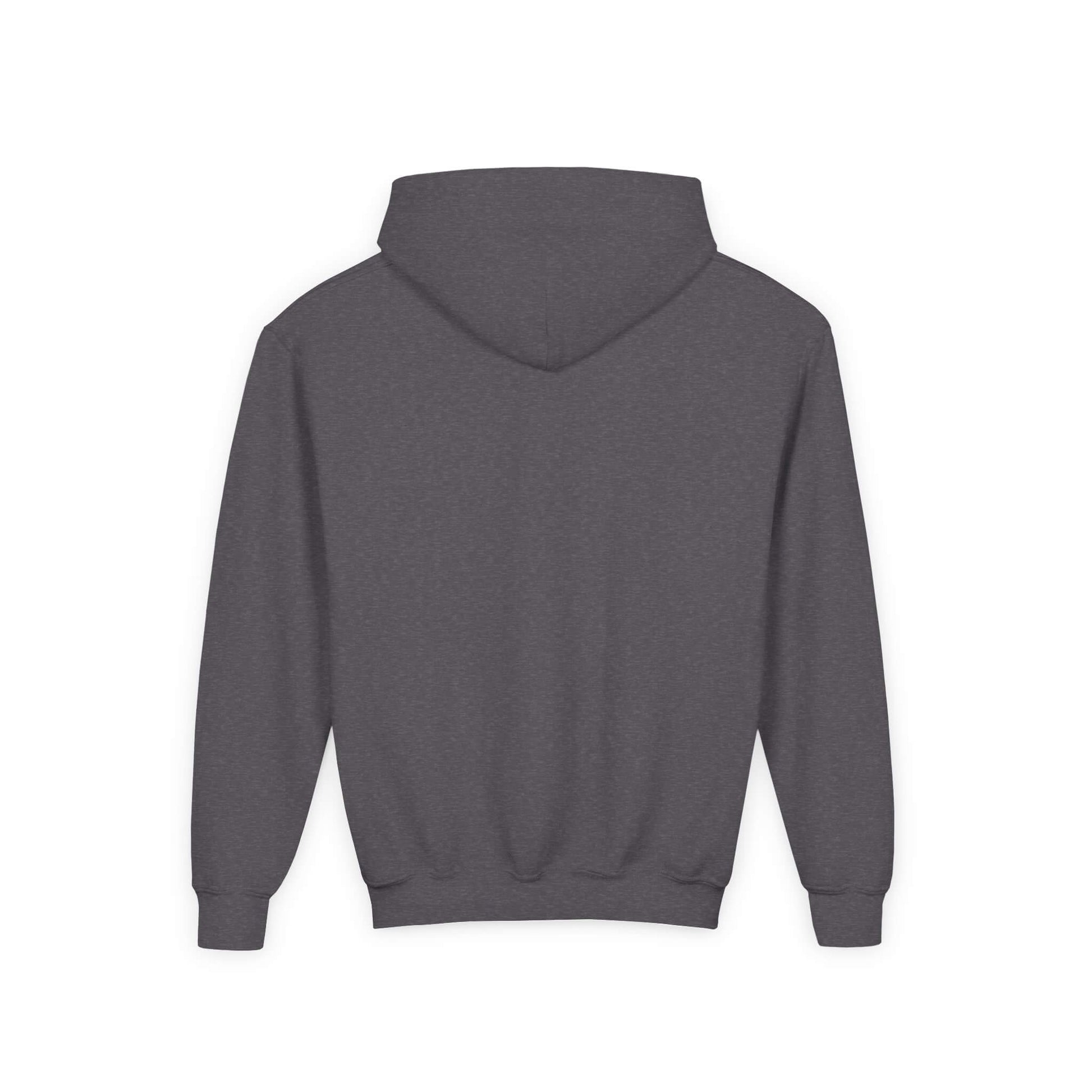 youth hoodie iguana atv share the road share the planet dark heather back